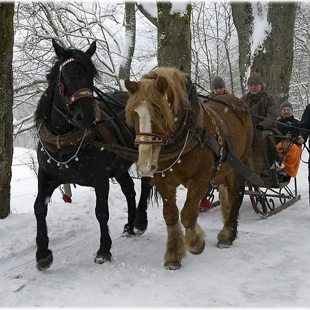 בית הארחה St. Moritz 2*